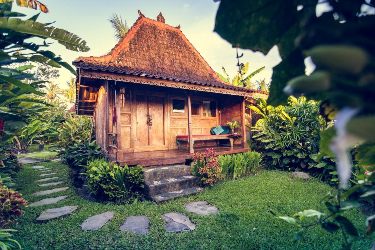Dragonfly Village Убуд Екстериор снимка