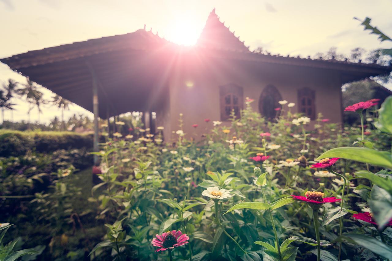 Dragonfly Village Убуд Екстериор снимка