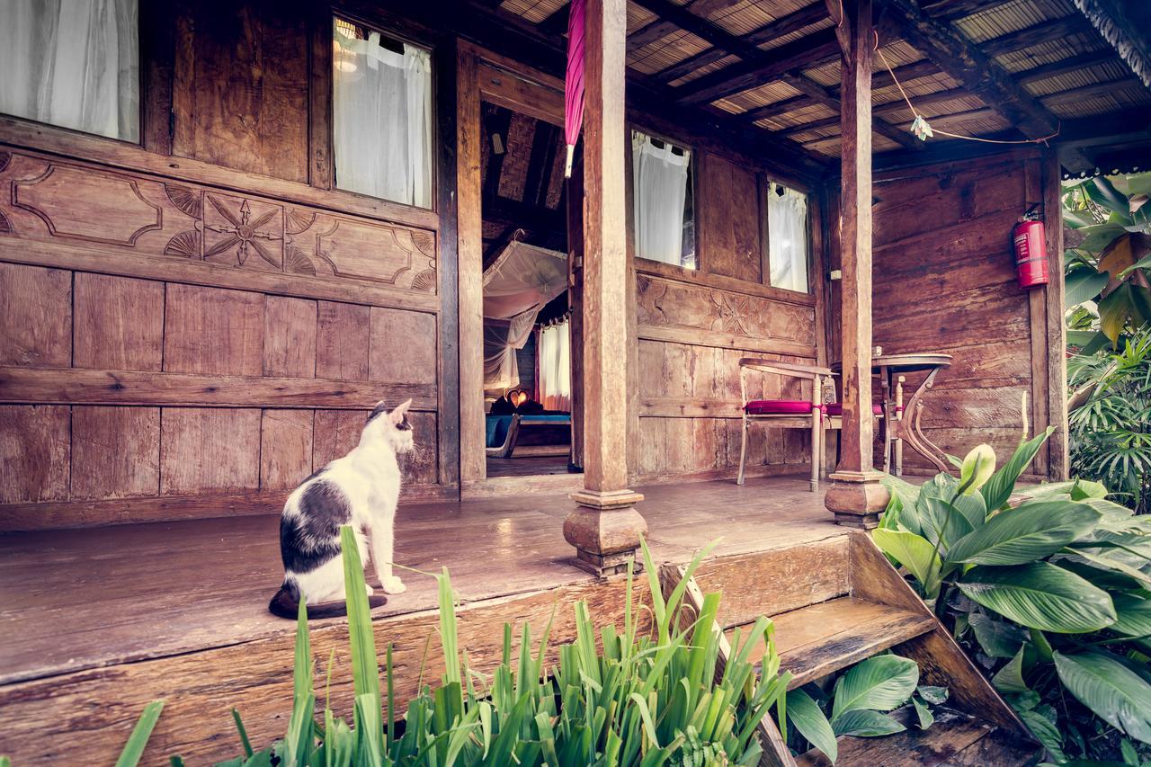 Dragonfly Village Убуд Екстериор снимка